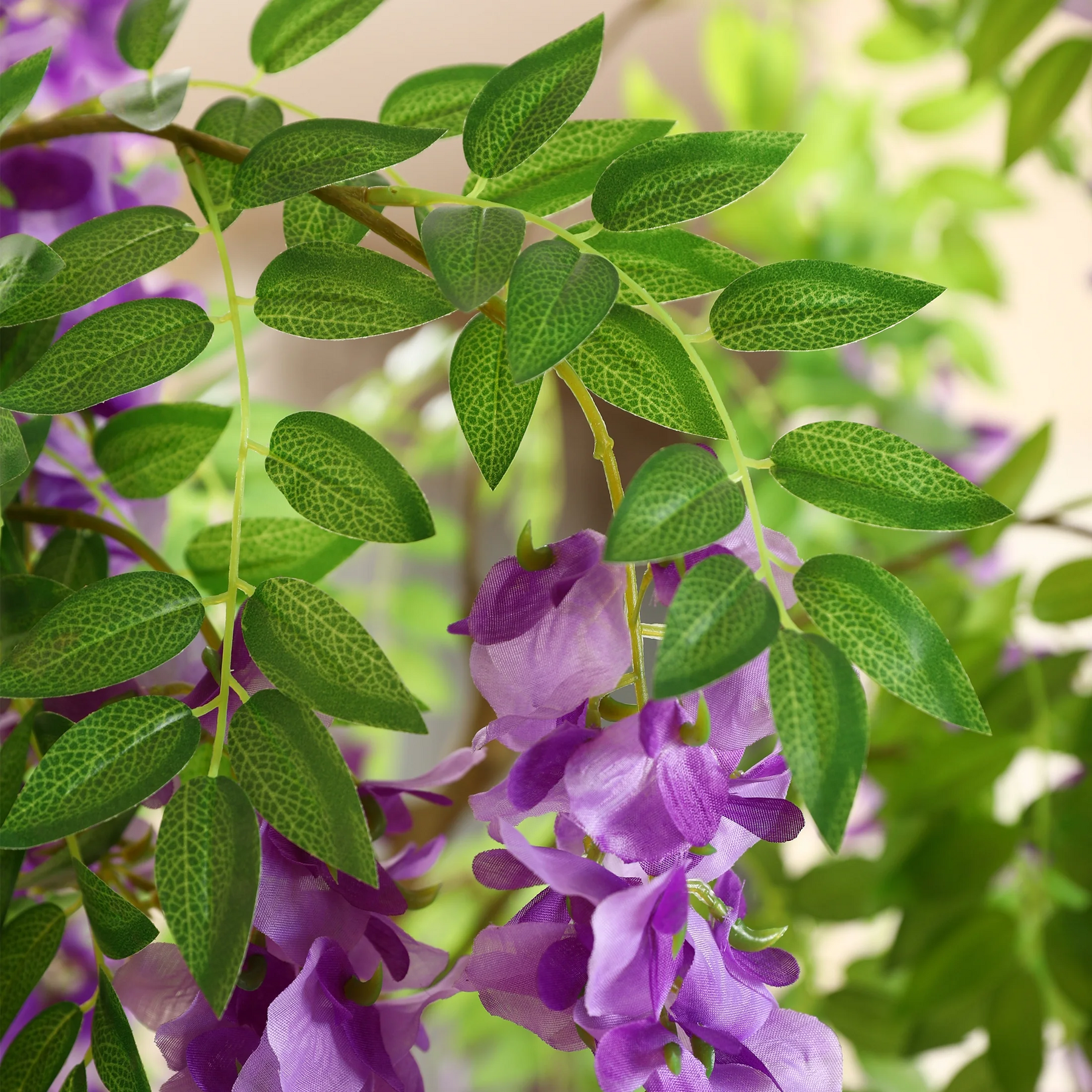 Árvore Decorativa Glicínia Imperial Roxa