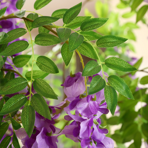 Árvore Decorativa Glicínia Imperial Roxa