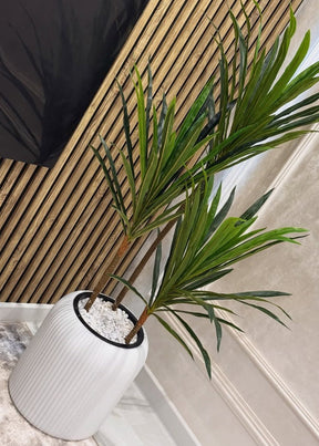 Dracena marginata com vaso Branco