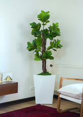 Ficus Lyrata artificial