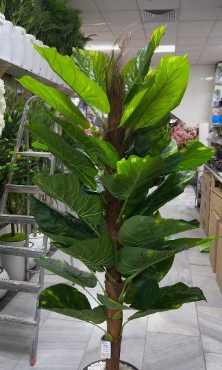 Árvore artificial de Dracena