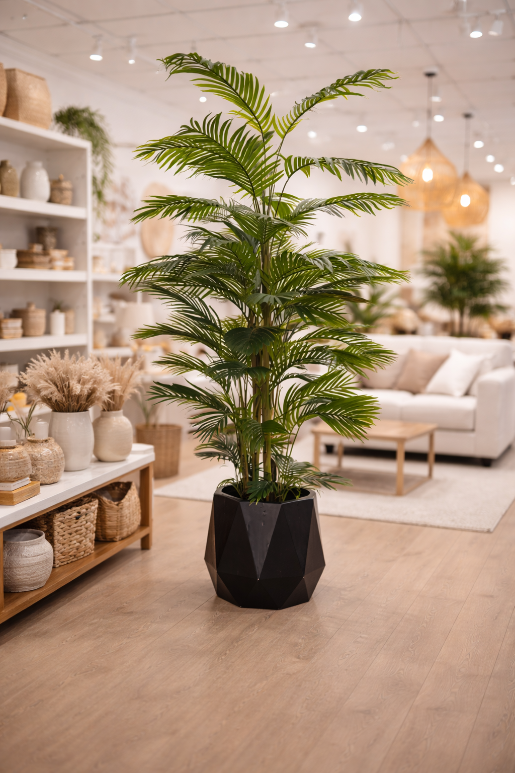 Palmeira Érica Decorativa 2,5m